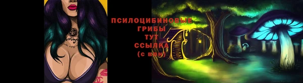 бутират Белокуриха