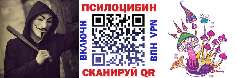 kraken ТОР  Цивильск  Галлюциногенные грибы Magic Shrooms 